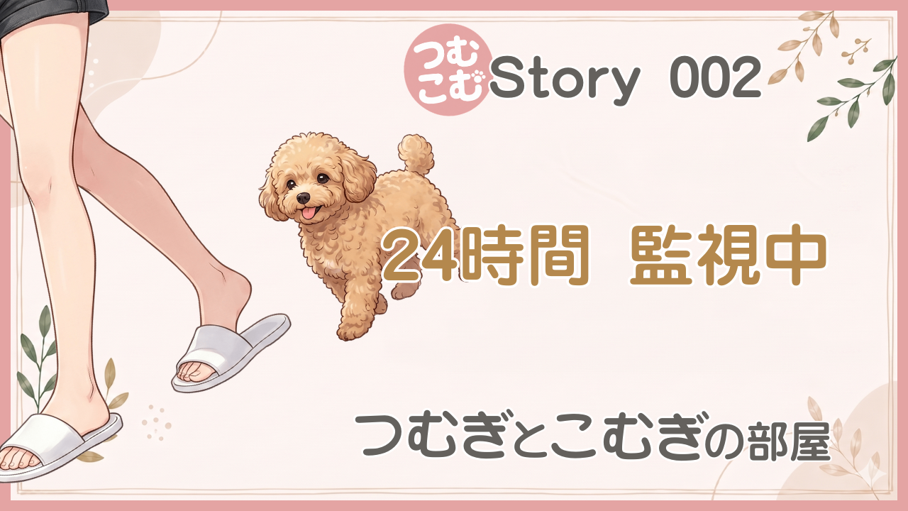24時間監視中
