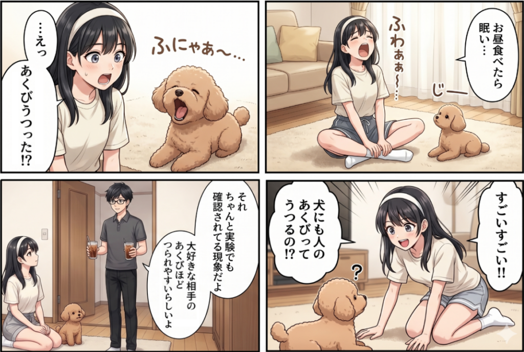 はじまり
